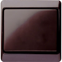 Berker Arsys, Цвет: Коричневый глянцевый/пластик