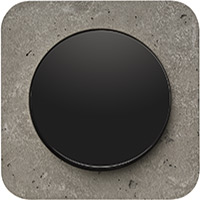 Berker R.1, Рамка: серый. Вставка: черный. Бетон шлифованный