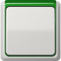 JUNG, CD plus, Цвет: Светло-серый / Зеленый металлик