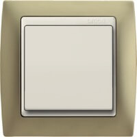 Simon 82, Цвет: Шампань матовый / Вставка - слоновая кость