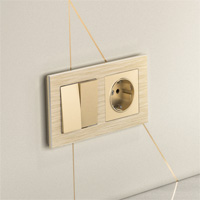 2-местная рамка Werkel Aluminium с двухклавишным выключателем и розеткой, цвет рамки: шампань, цвет механизма: шампань