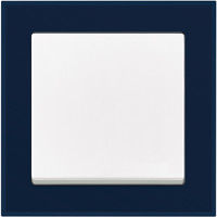 ABB, Busch-axcent PUR, Цвет: Стекло Гиацинт / Purple