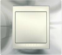 Schneider Electric, Unica Хамелеон, Цвет: Хром (поверхность металл)