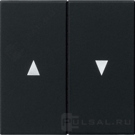 Двойные клавиши со стрелками
Studio,  E2,  Esprit,  ClassiX,  ClassiX Art,  без фиксации,  с фиксацией,  без подсветки,   цвет - черный матовый,  пластмасса,  0294005,  0294 005,  Gira
 - PULSAL.RU Двойные клавиши со стрелками
Studio,  E2,  Esprit,  ClassiX,  ClassiX Art,  без фиксации,  с фиксацией,  без подсветки,   цвет - черный матовый,  пластмасса,  0294005,  0294 005,  Gira
 - PULSAL.RU