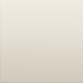 Накладка заглушки
S08,   цвет - слоновая кость,  пластмасса,  DS26855,  Donel
 - PULSAL.RU