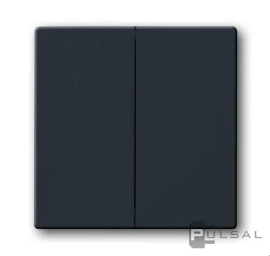 Клавиши
Carat,  ДИНАСТИЯ,  Busch-axcent,  Future linear,  двухклавишный,  без подсветки,  с подсветкой,   цвет - антрацит,  пластмасса,  1785-81,  2CKA001751A2930,  ABB
 - PULSAL.RU