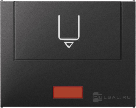 Hакладка карточного выключателя
K.1,  с индикацией,   цвет - антрацит матовый,  пластмасса,  16417106,  1641 71 06,  Berker
 - PULSAL.RU