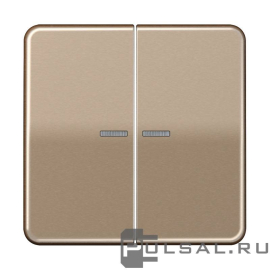 Клавиши
CD 500,  двухклавишный,  с подсветкой,  с индикацией,   цвет - золотая бронза,  металл,  CD595KO5GB,  CD 595 KO5 GB,  JUNG
 - PULSAL.RU