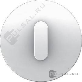 Накладка с белой ручкой
R.Classic,   цвет - белый глянцевый,  пластмасса,  1001208900,  10 01 2089 00,  Berker
 - PULSAL.RU