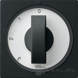 Накладка поворотного выключателя
Studio,  E2,  Esprit,  ClassiX,  ClassiX Art,   цвет - черный матовый,  пластмасса,  0669005,  0669 005,  Gira
 - PULSAL.RU