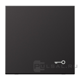Клавиша "Замок"
LS 990,  LS ZERO,  LS-design,  одноклавишный,  без подсветки,   цвет - алюминий темный,  металл,  AL2990TD,  AL 2990 T D,  JUNG
 - PULSAL.RU