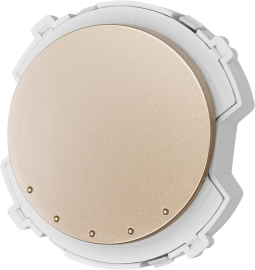 Переключатель перекрестный 
Байкал,  одноклавишный,  без подсветки,   цвет - шампань,  пластмасса,  SQ1819-0532,  TDM
 - PULSAL.RU